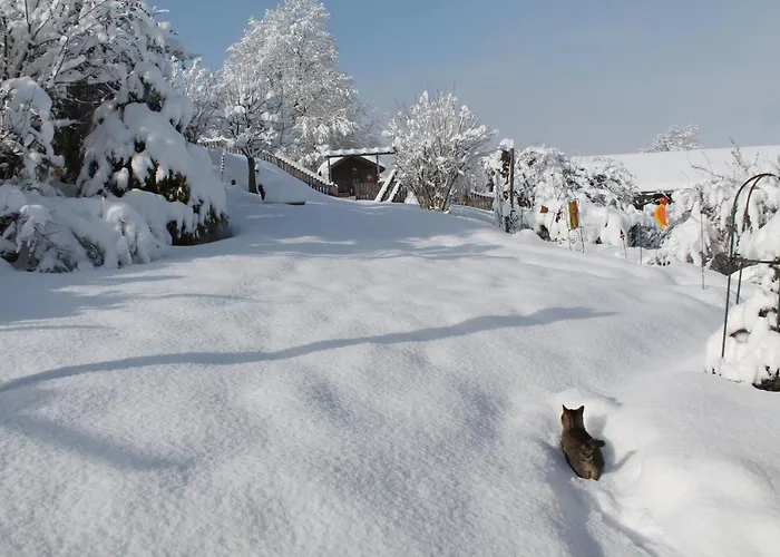 Gaestehaus Fidelis بيت ضيافة Grafenwiesen